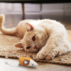 Zabawka dla kota Myszka