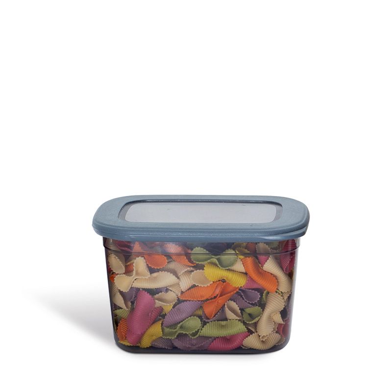Pojemnik Grey 2300 ml
