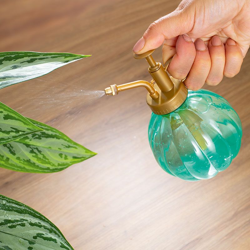 Minizraszacz z pompką