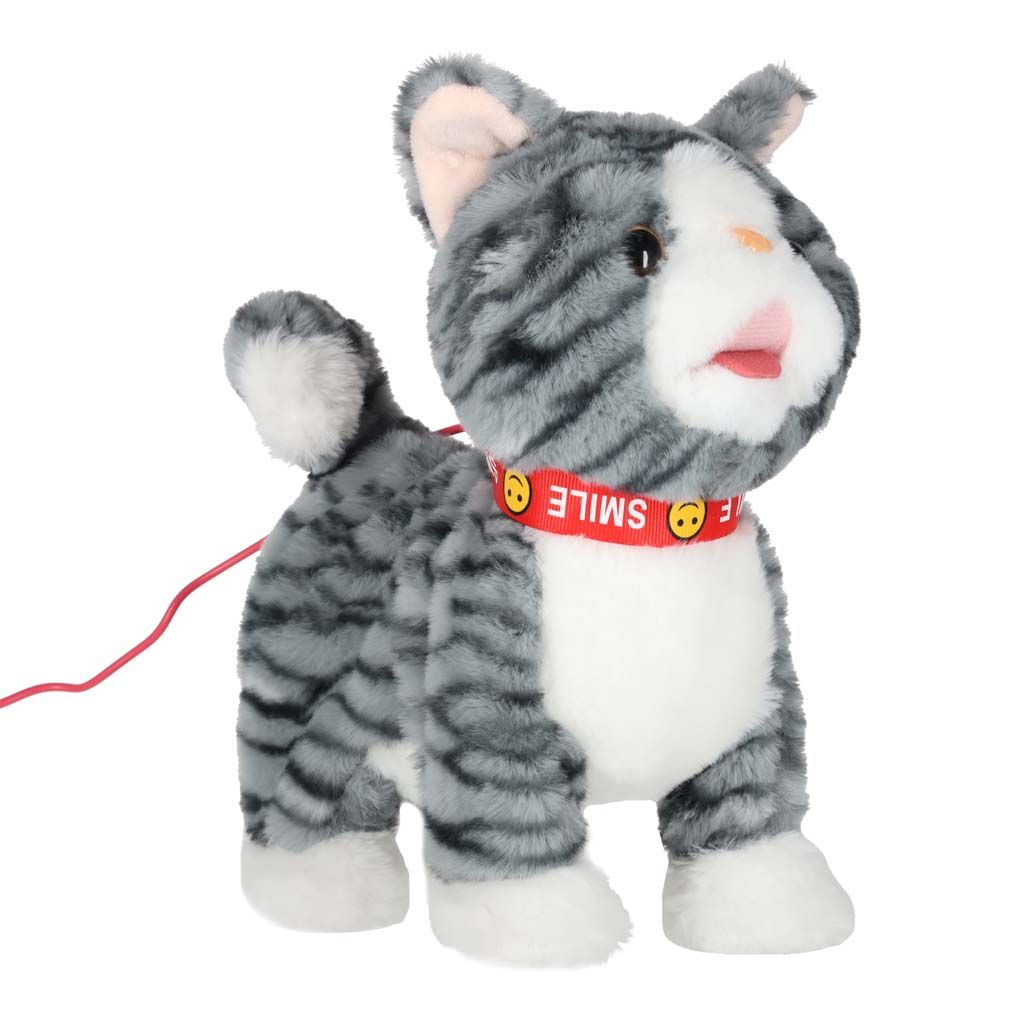 Kotek interaktywny na smyczy